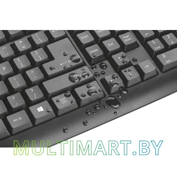 Комплект клавиатура + мышь Trust Classicline wired keyboard and mouse (21392) картинка 8